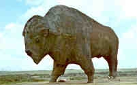 Buffalo statue (USA)