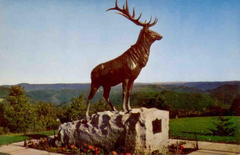 The Elk, Mohawk Trail (Massachusetts, USA)