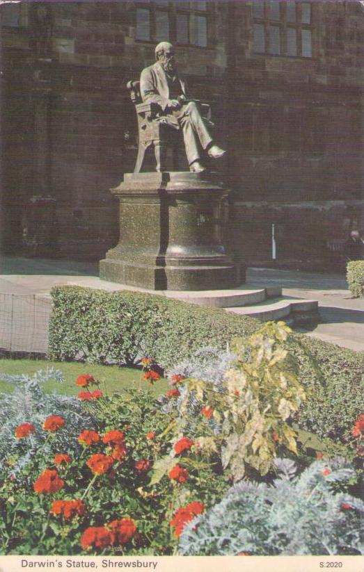 Shrewsbury, Darwin’s Statue (England)