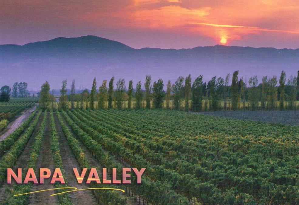 Napa Valley (California, USA)