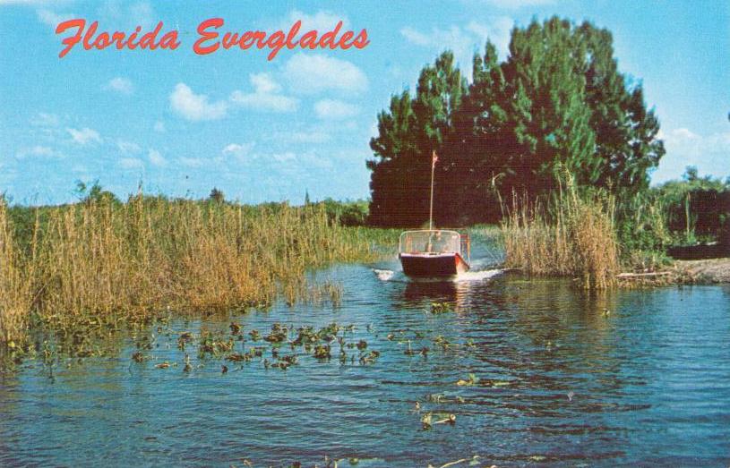 Florida Everglades, Air-boat rides (USA)