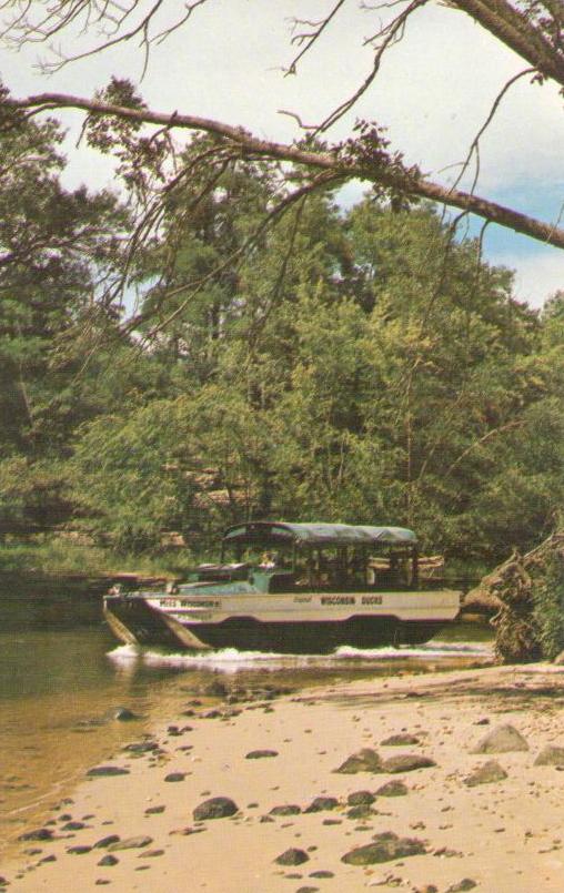 Wisconsin Dells, Duck in Dell Creek (USA)