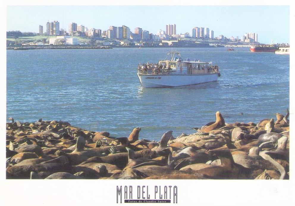 Mar del Plata, boat and sea lions (Argentina)