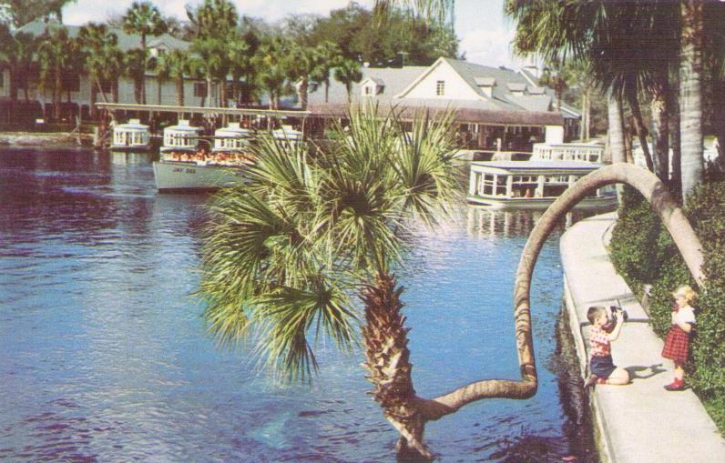 Beautiful River Scene at Florida’s Silver Springs, Electric Glass Bottom Boats