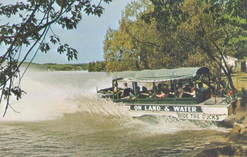 Wisconsin Dells, Duck entering Lake Delton (USA)