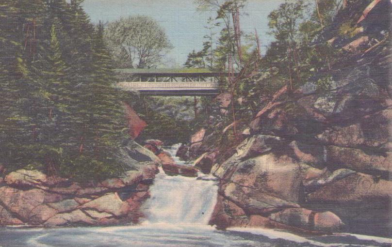 White Mountains, The Pool and Sentinel Pine Bridge, The Flume (New Hampshire, USA)