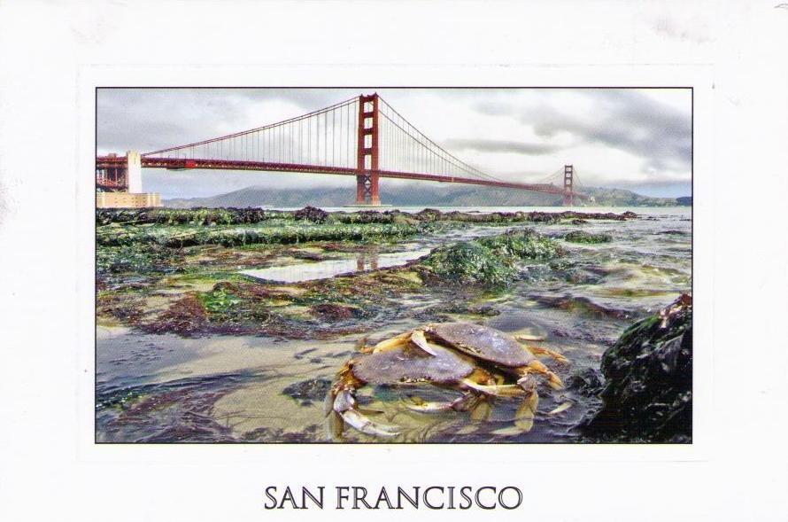 San Francisco, Golden Gate With Crabs