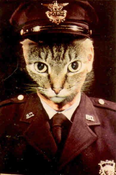 Cop Cat