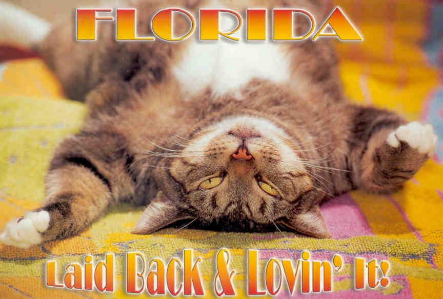 Laid Back & Lovin’ It! (Florida)
