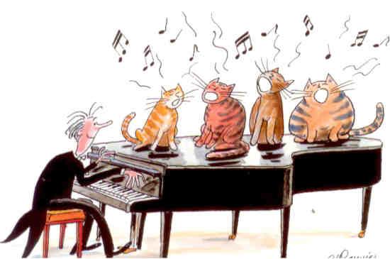 Cats Chorus