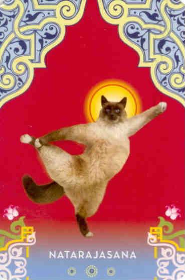 Natarajasana – Cat Yoga (USA)