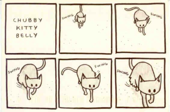 Chubby Kitty Belly