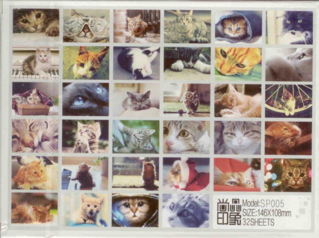 Lovely Cat Post Card (set) – reverse (China)