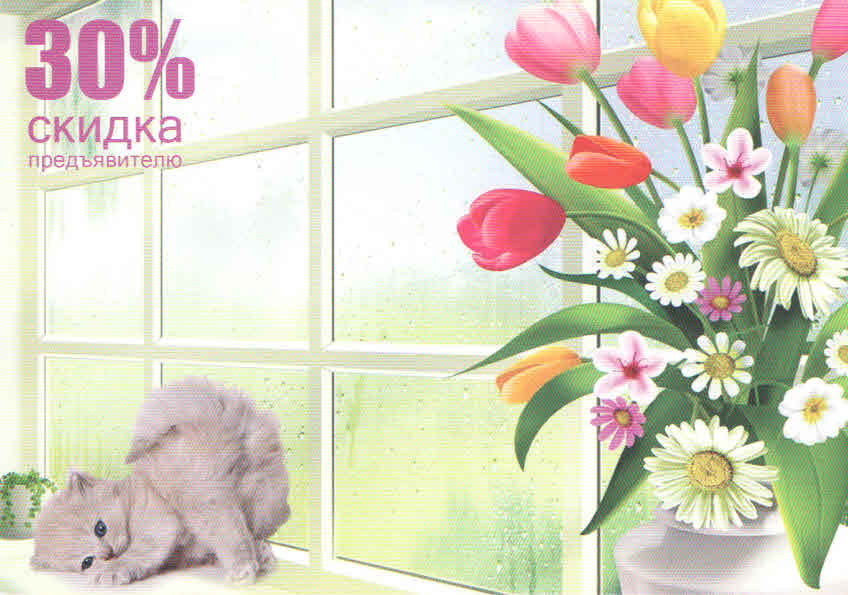 Kitten and flowers (Russia)