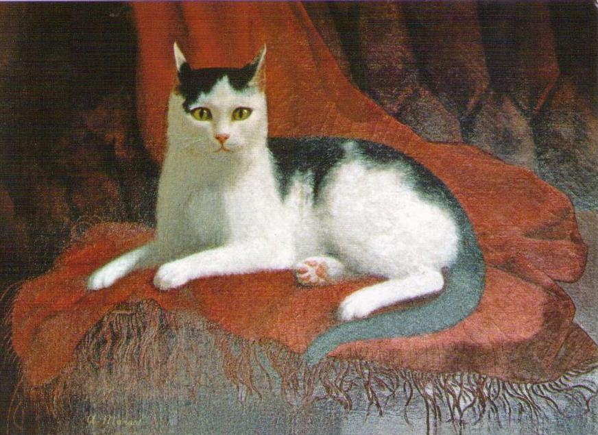 Tommy, Clara Barton’s Cat (USA)
