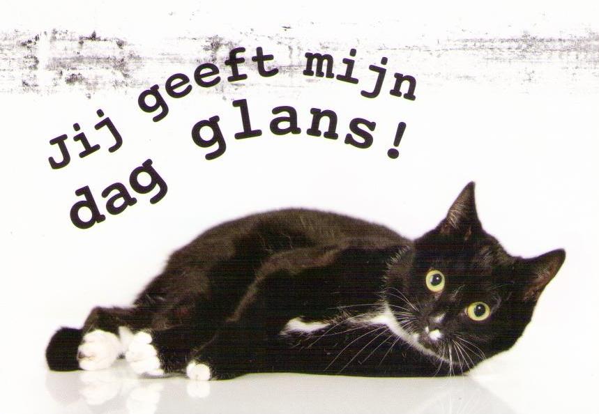 Jij geeft mijn dag glans! (Netherlands)