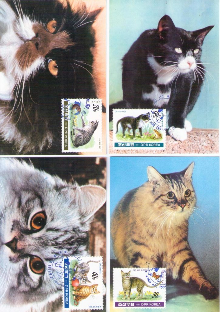 Cats (set of five) (Maximum Cards) (DPR Korea)