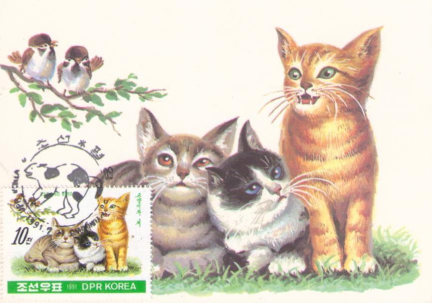 Cats and birds (Maximum Card) (DPR Korea)