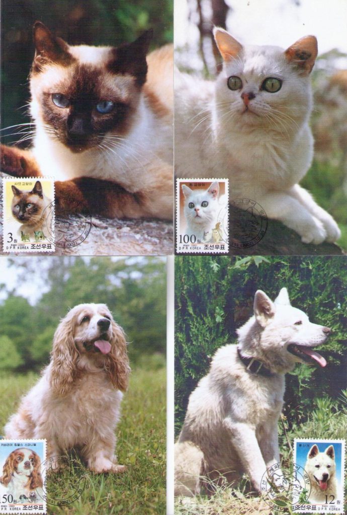 Cats and Dogs (set of four) (Maximum Cards) (DPR Korea)