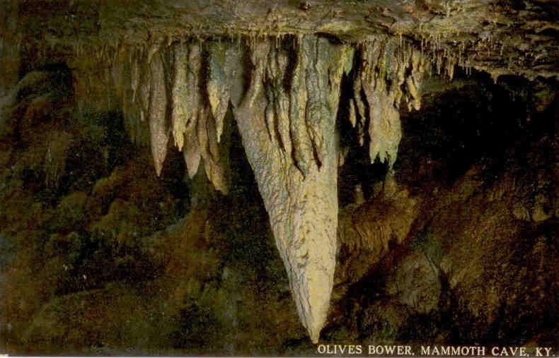 Olives Bower, Mammoth Cave (Kentucky, USA)