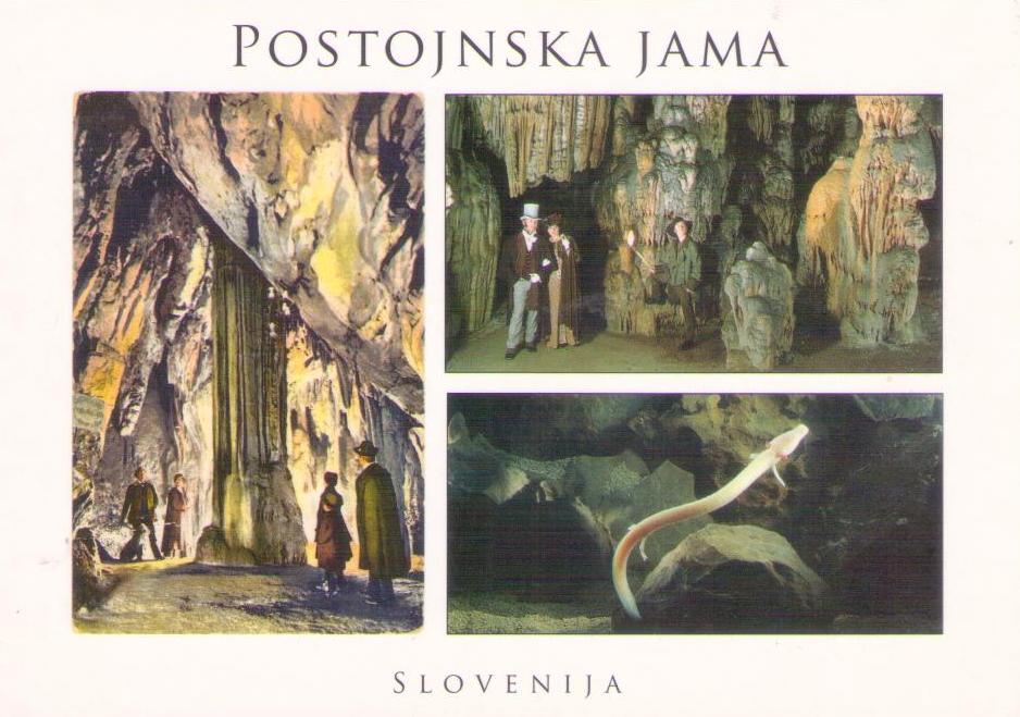 Postojnska Jama (Slovenia)