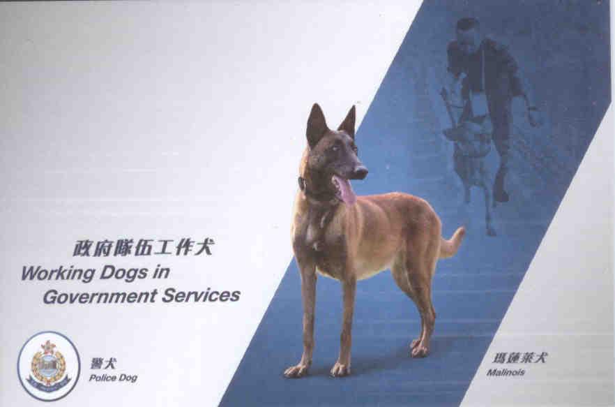 Working Dogs in Government Services (Hong Kong) (set)
