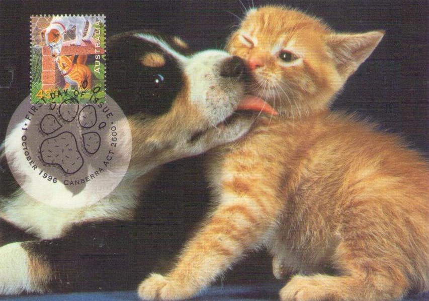 Pets: dog and cat (Maximum Card) (Australia)