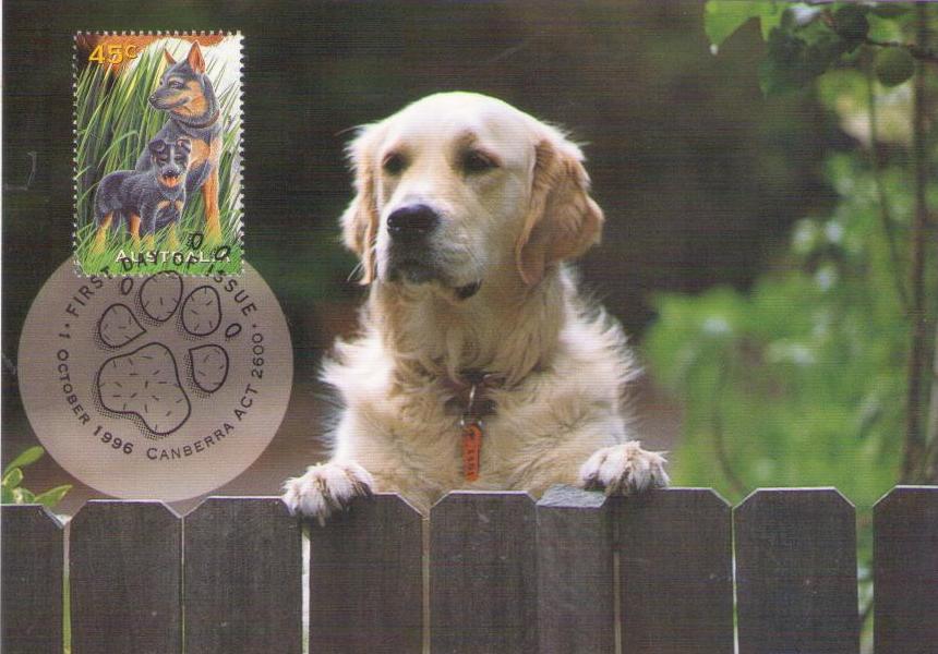 Pets: dog (Maximum Card) (Australia)