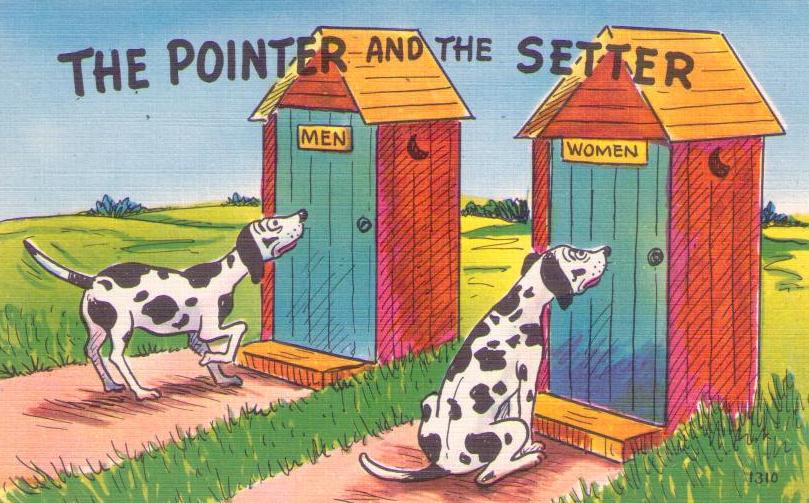 The Pointer and the Setter (USA)