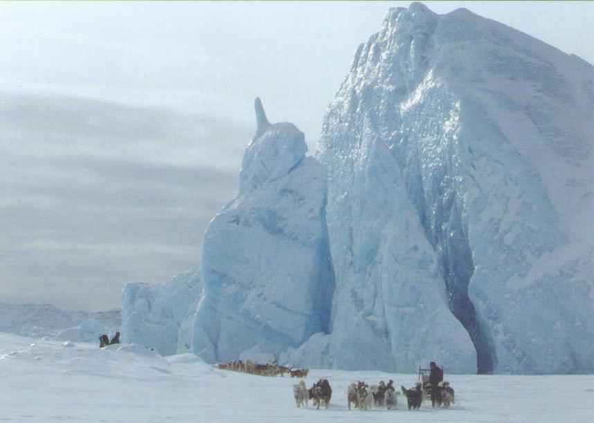 Dog sled teams (Greenland)