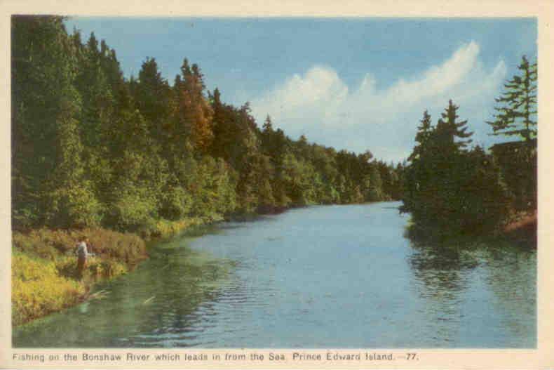 Prince Edward Island, Fishing on the Bonshaw River (Canada)