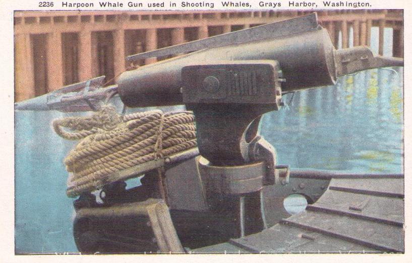 Harpoon Whale Gun used in Shooting Whales, Grays Harbor (Washington)