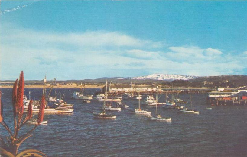 Monterey Bay, Fishing boats at anchor (California)