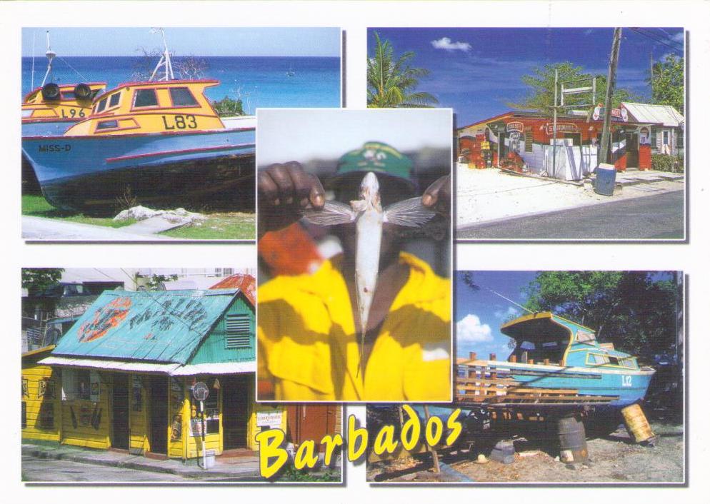 Fishing Boats, Flying Fish, and Rum Shops (Barbados)