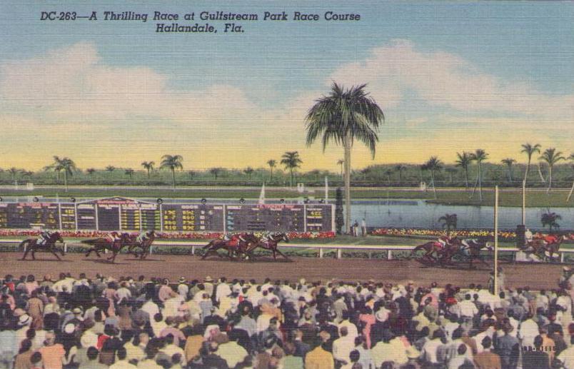 Hallandale, A Thrilling Race at Gulfstream Park (Florida)