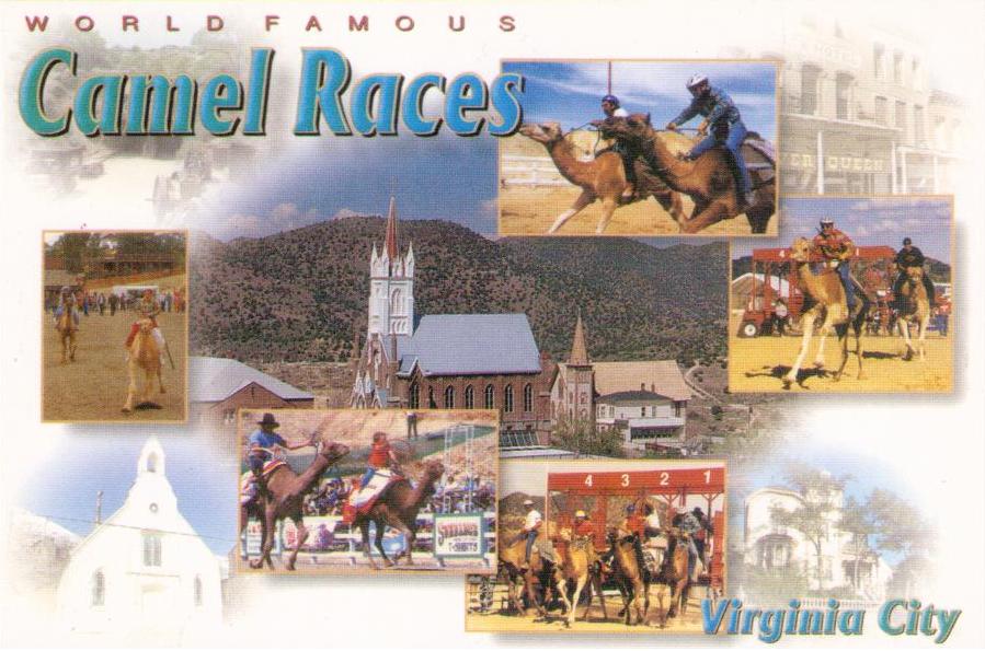 Virginia City, World Famous Camel Races (Nevada, USA)