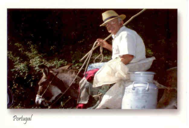 Typical image, man on donkey (I heart Portugal)