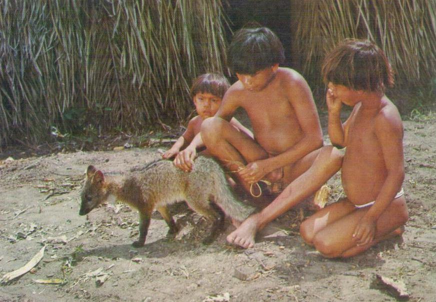 Xingu, Young “Iaualapiti” boys with a domestic fox (Brazil)