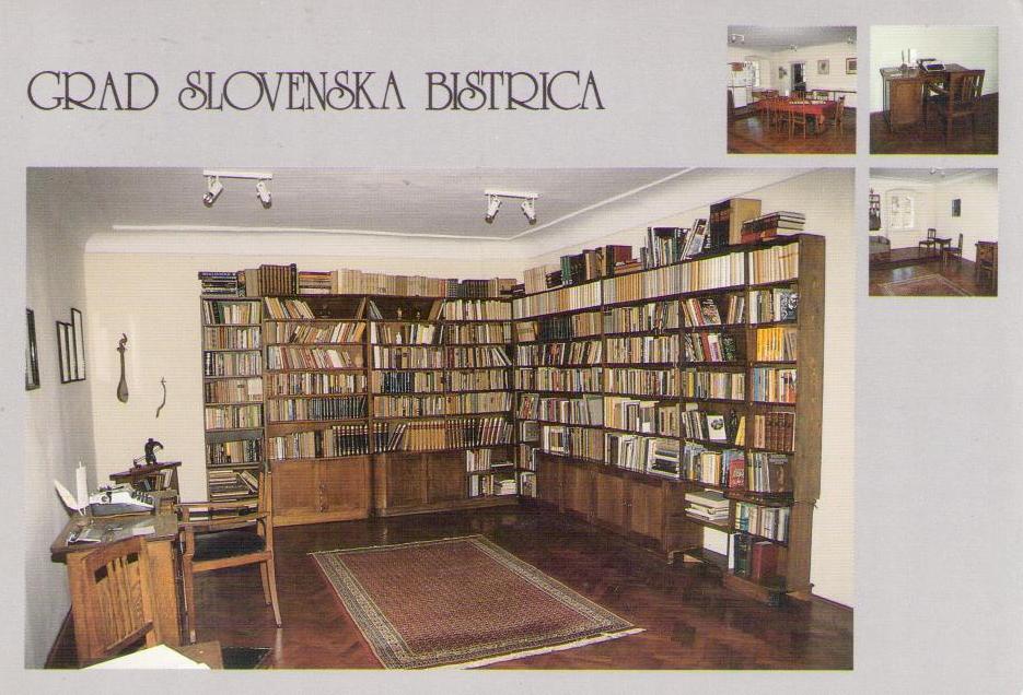 Grad Slovenska Bistrica (Slovenia)