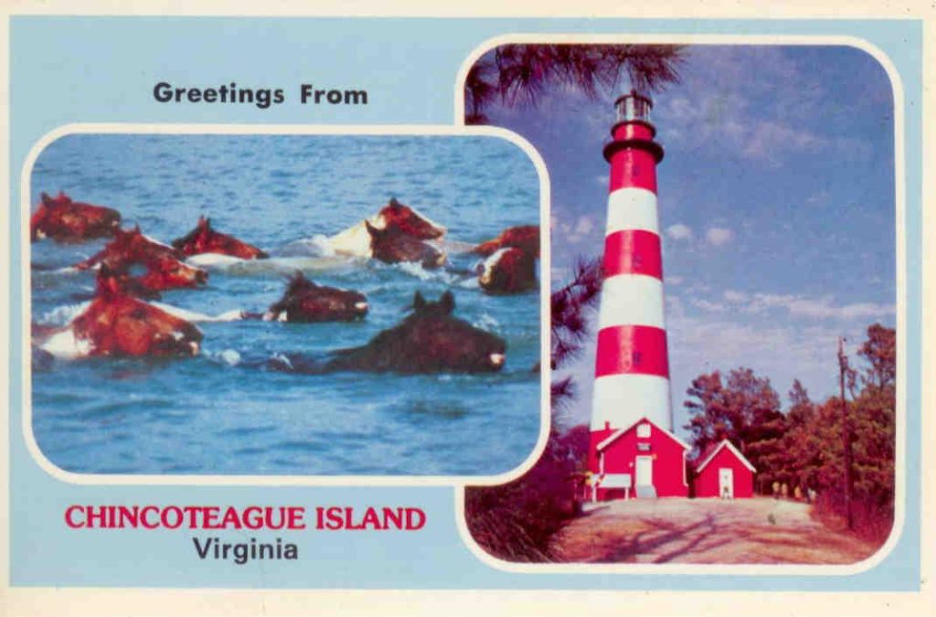 Greetings from Chincoteague Island, Virginia (USA)