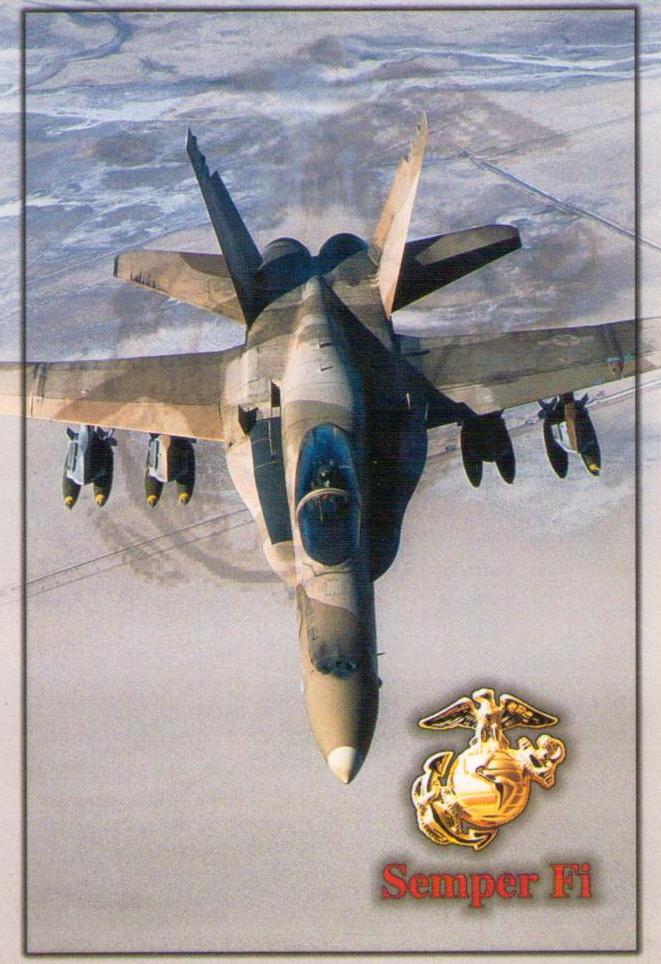 F/A-18 Hornet (USA)