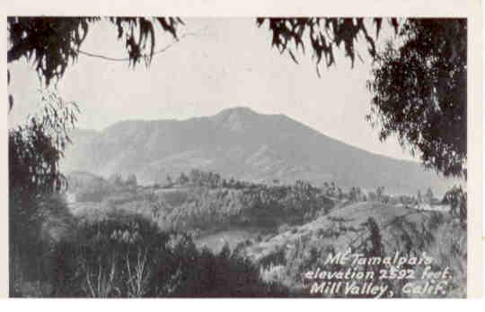 Mt. Tamalpais, Mill Valley (California)