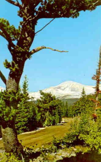 Mt. Audabon (sic), Colorado