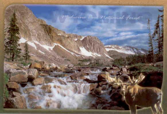 Medicine Bow National Forest, Snowy Range (Wyoming, USA)