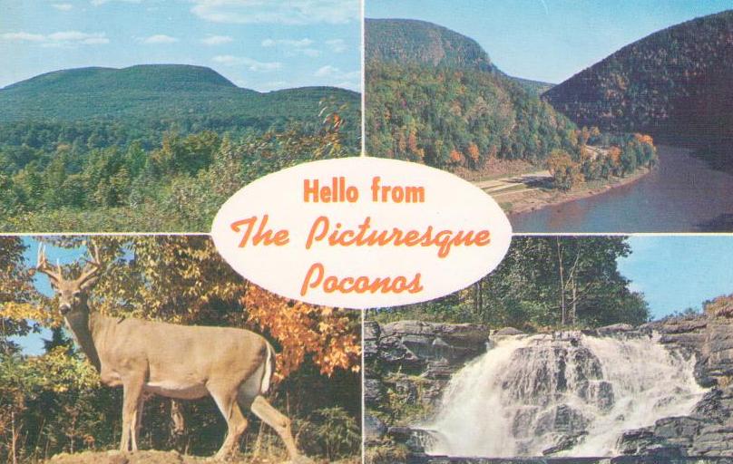 Hello from the Picturesque Poconos (Pennsylvania, USA)