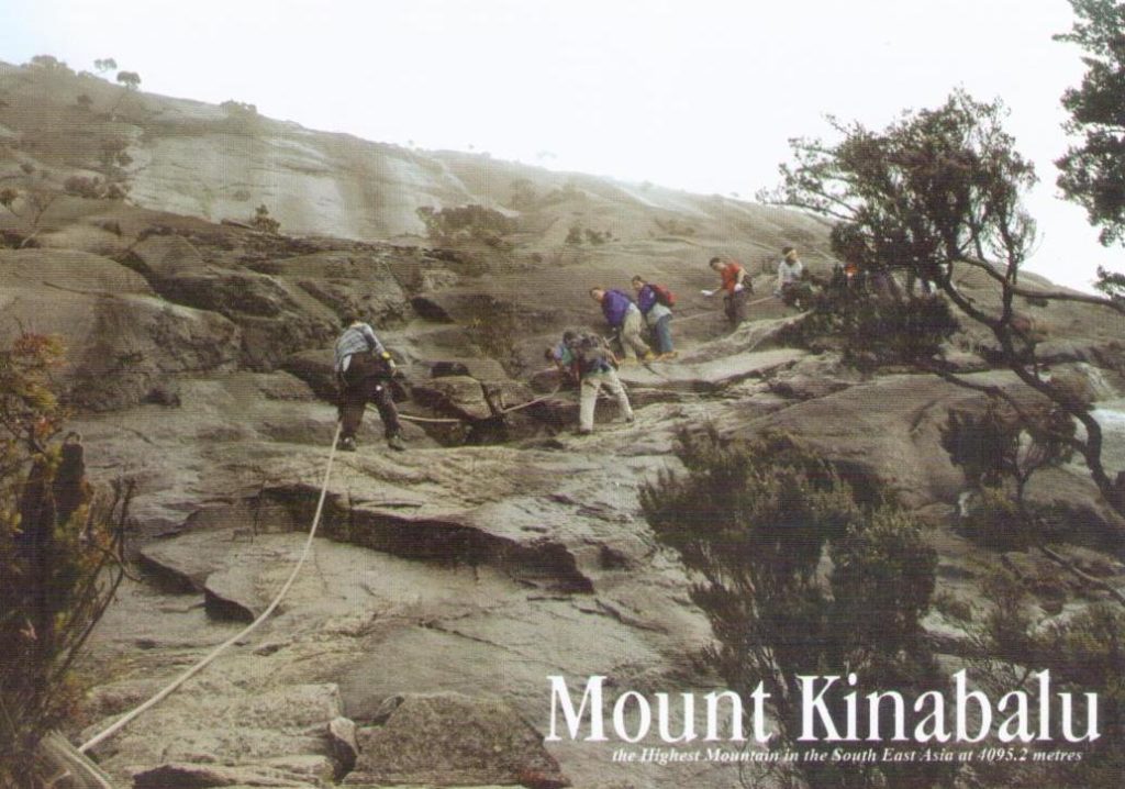Mount Kinabalu MK115 (Sabah, Malaysia)