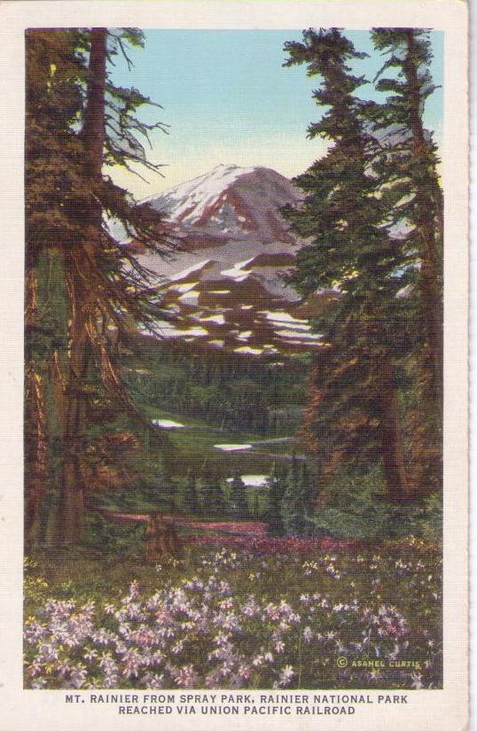 Mt. Rainier from Spray Park, Rainier National Park (Washington, USA)