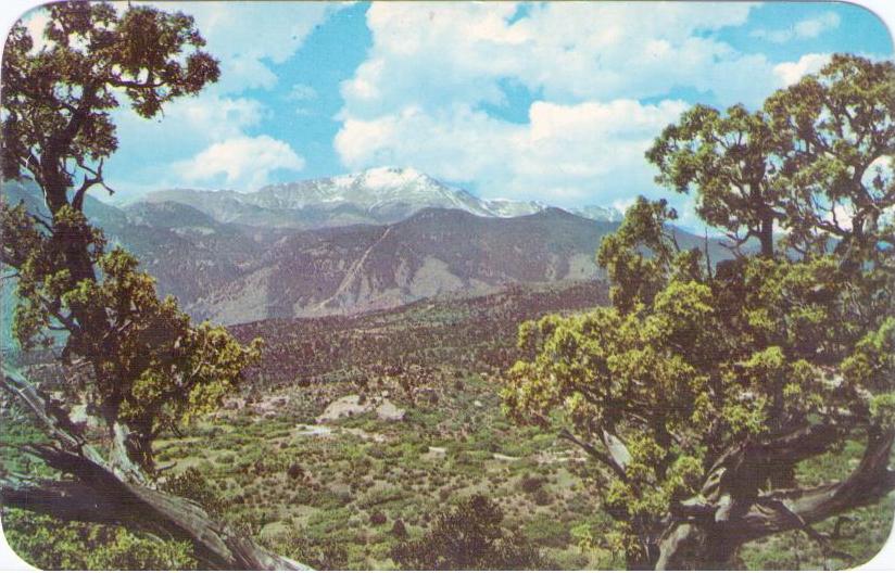 Pikes Peak framed by one of the ancient Junipers (Colorado, USA)