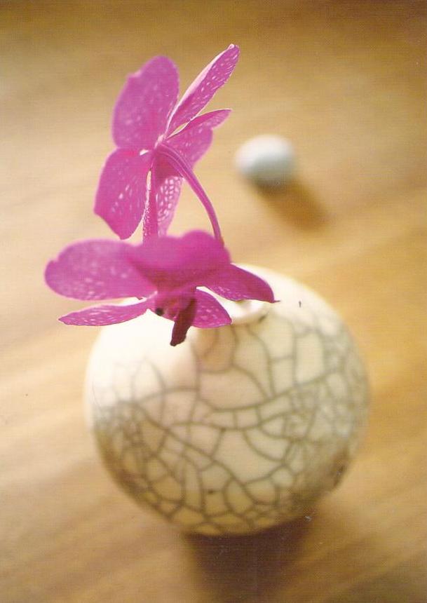 Orchid and Raku