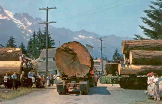 Logging in Oregon